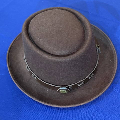 Brown Pork Pie hat